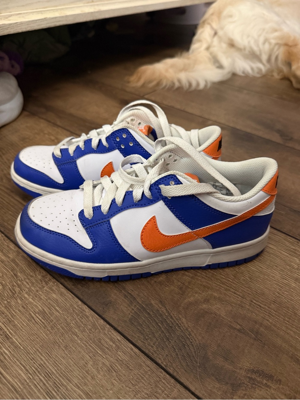 Nike Kids Blue White Orange Low-Top Sneakers